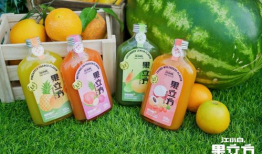 果立方,探索水果世界的无限可能