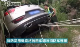 老司机精品视频网,海量资源，畅享驾驶乐趣